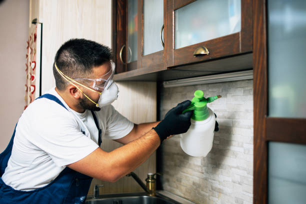 Best Insect Control  in Goodman, MO