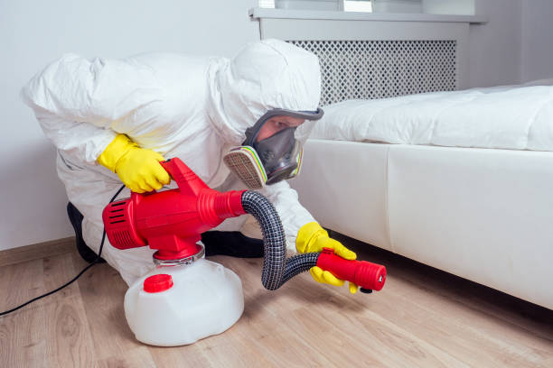 Best Pest Inspection Near Me  in Goodman, MO