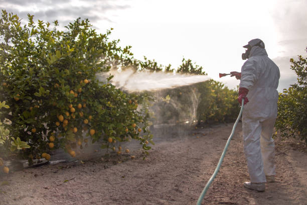 Best Local Pest Control Services  in Goodman, MO