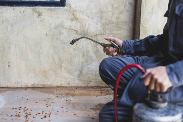 Professional Pest Control in Goodman, MO