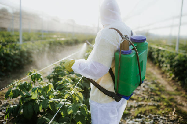 Best Affordable Pest Control Services  in Goodman, MO